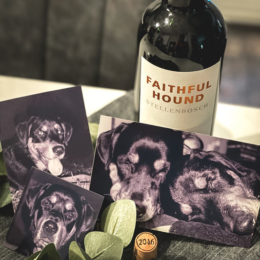 Faithful Hound - The Perfect Wine for the Dog Lover