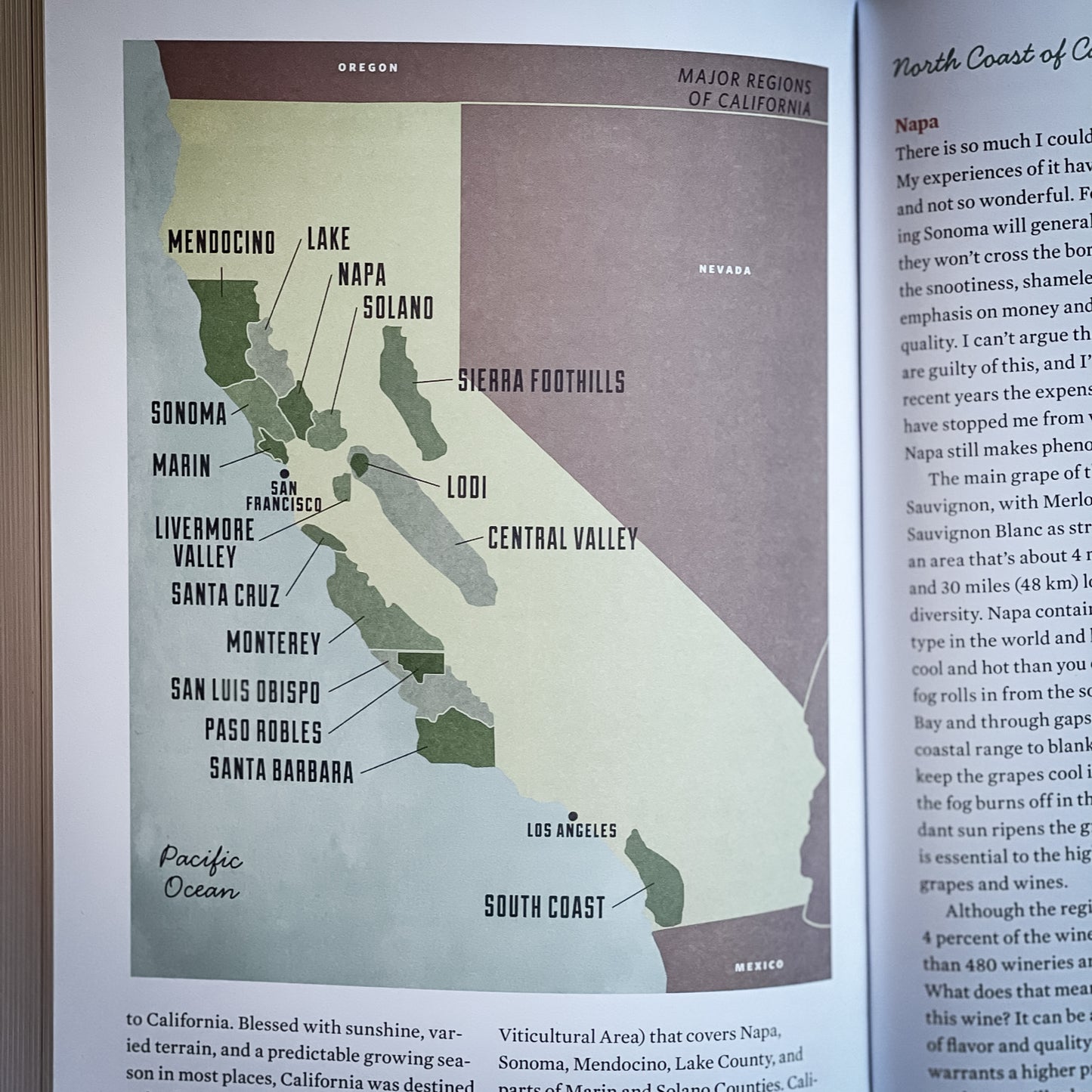 Wine For Normal People by Elizabeth Schneider